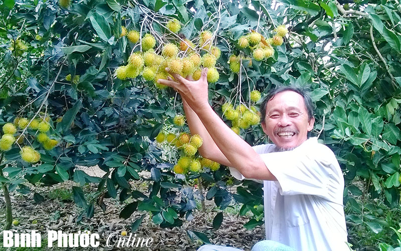 Sản xuất theo mô hình VietGAP - hướng đi mới cho nông dân Sản xuất theo mô hình VietGAP - hướng đi mới cho nông dân