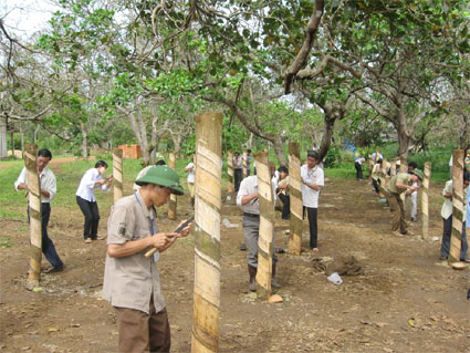 14.032 lao động nông thôn được học nghề