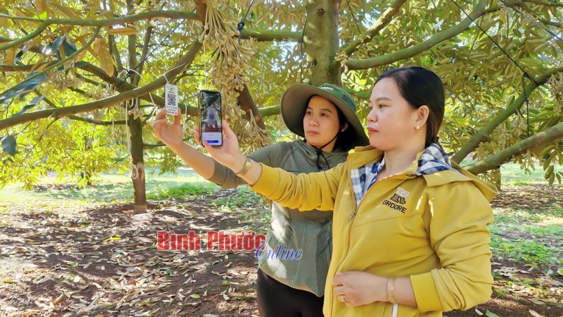 Nông dân thời đại số