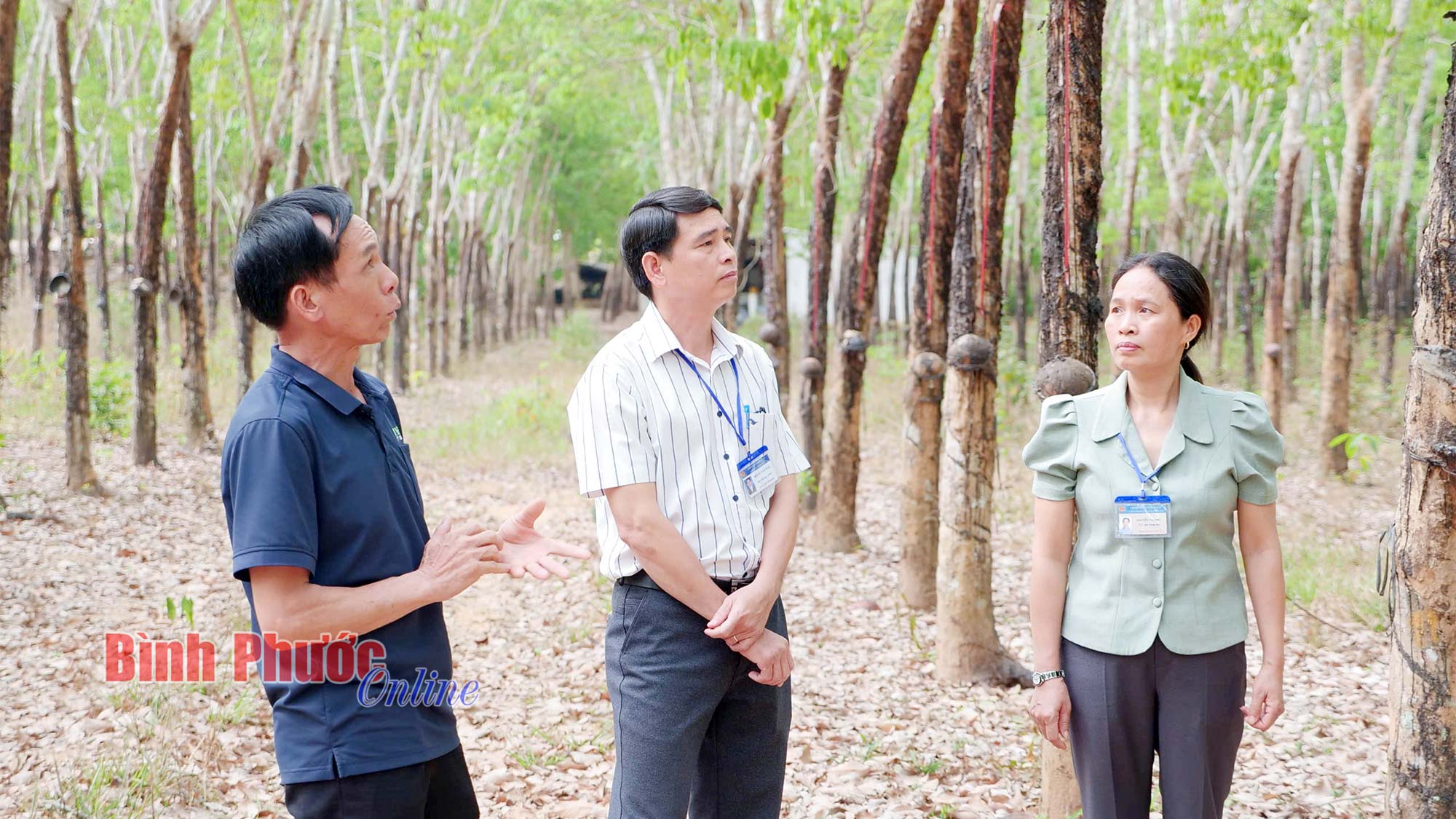 Nông dân Việt Nam xuất sắc