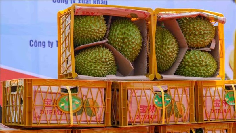 Nông sản Việt thừa thắng tăng tốc
