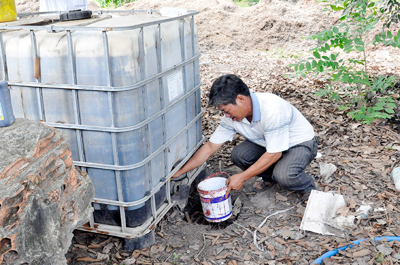 Những nông dân sản xuất giỏi