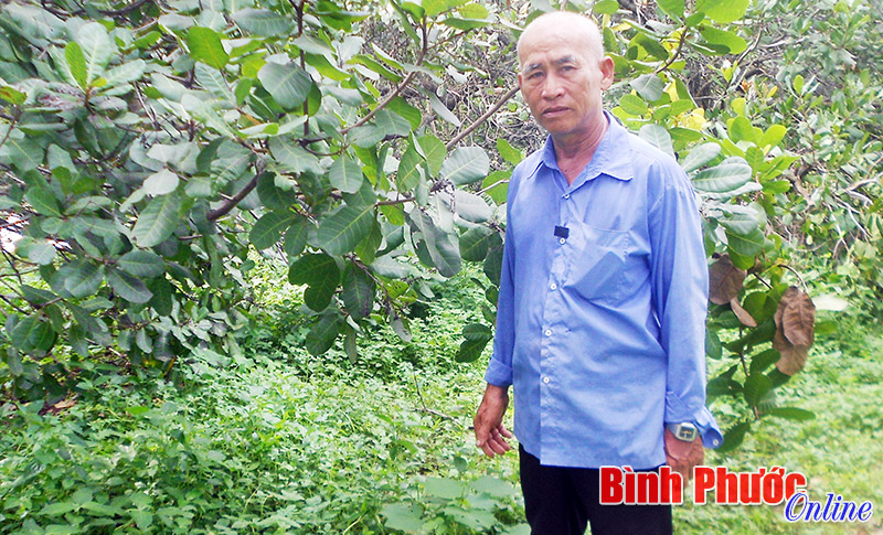 nongdansanxuatgioi.jpg