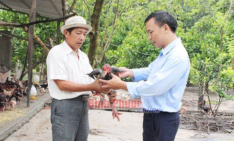 Nông dân thi đua thành... triệu phú Nông dân thi đua thành... triệu phú