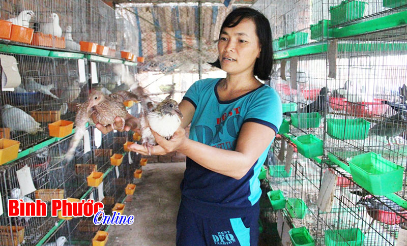 Nông dân thời kinh tế mở Nông dân thời kinh tế mở