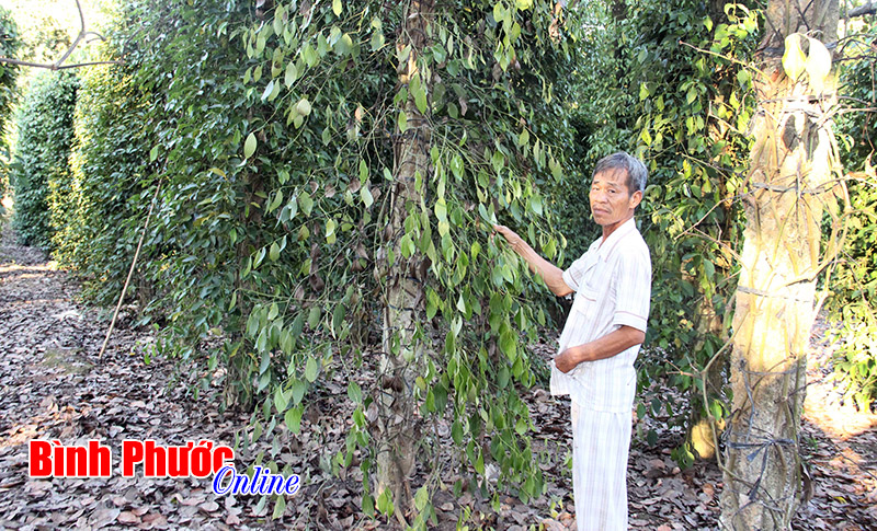 nongdantienhung.jpg