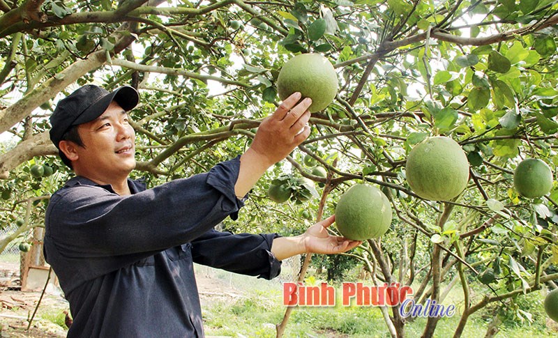 Nông nghiệp thời công nghệ cao - Bài 1