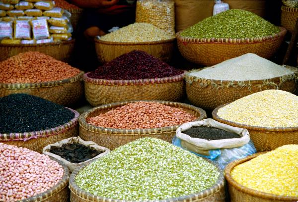 Doanh nghiệp được hỗ trợ đầu tư cơ sở sấy nông sản