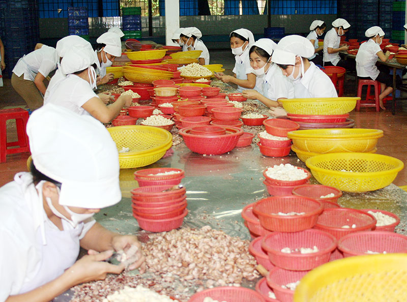 Doanh nghiệp được hỗ trợ đầu tư cơ sở chế biến nông sản