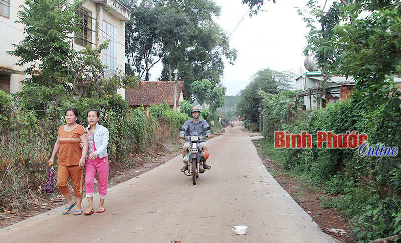 79.154 tấn xi măng xây dựng đường nông thôn theo cơ chế đặc thù