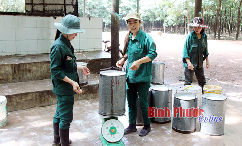 nongtruong.jpg