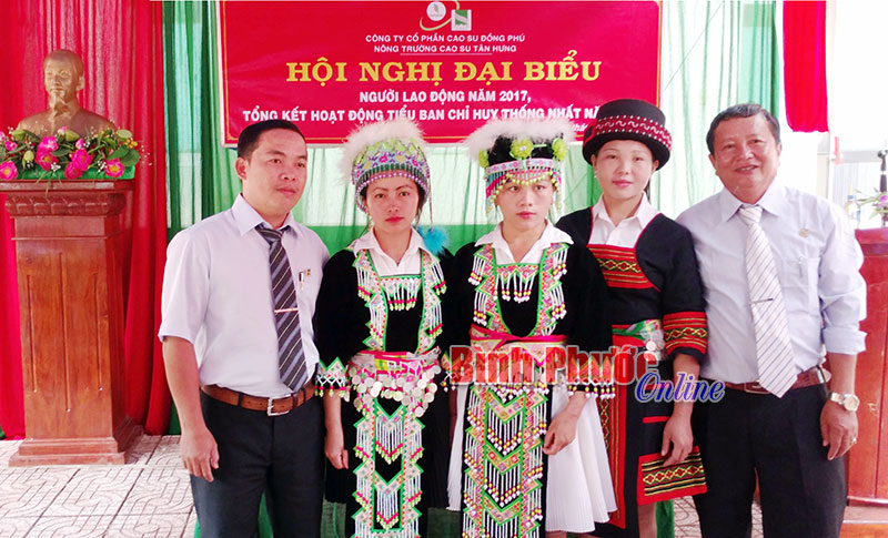 nongtruong22022019084744.jpg