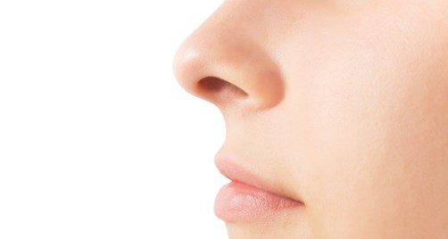 Phát hiện chất kháng sinh cực mạnh trong mũi của con người