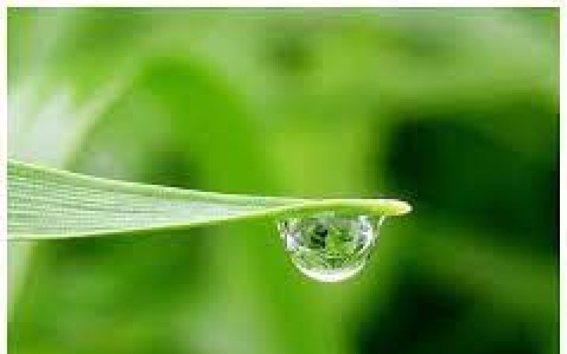 Nước mắt của mẹ
