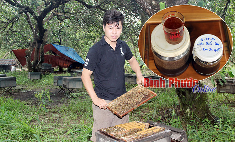 Tuột mất cơ hội vàng vì mật ong không nhãn mác Tuột mất cơ hội vàng vì mật ong không nhãn mác
