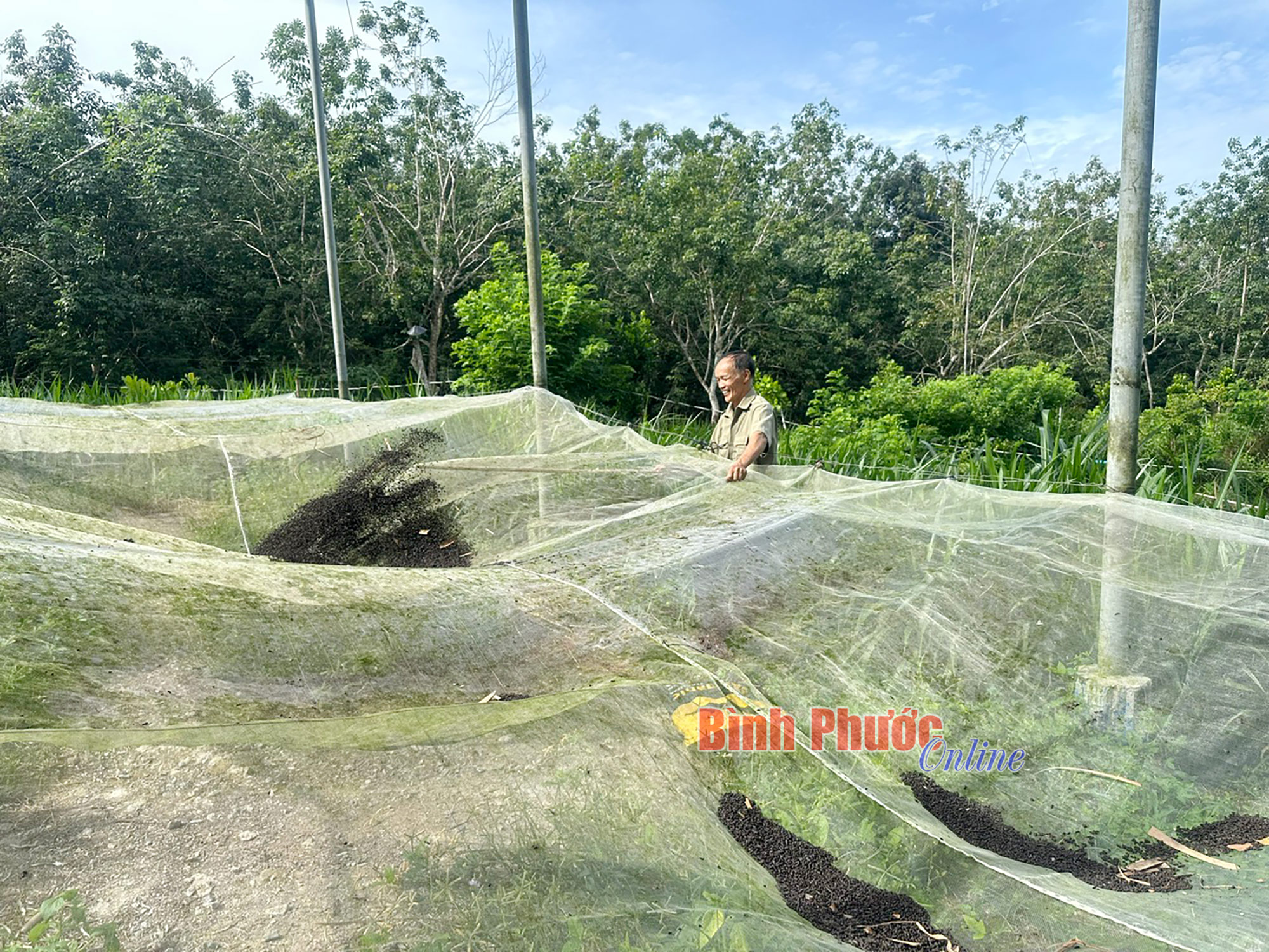 Nuôi dơi - làm chơi ăn thật