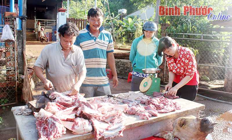 Giá bò thương phẩm giảm sâu Giá bò thương phẩm giảm sâu