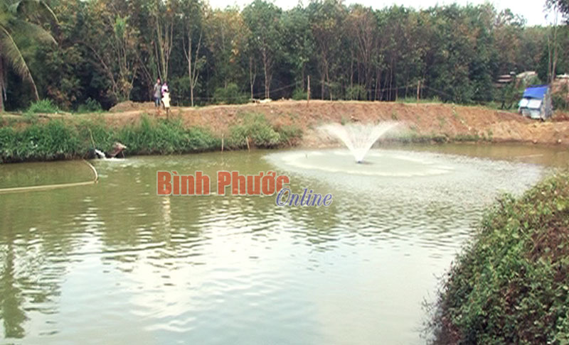 Đất ít thì nuôi cá Đất ít thì nuôi cá