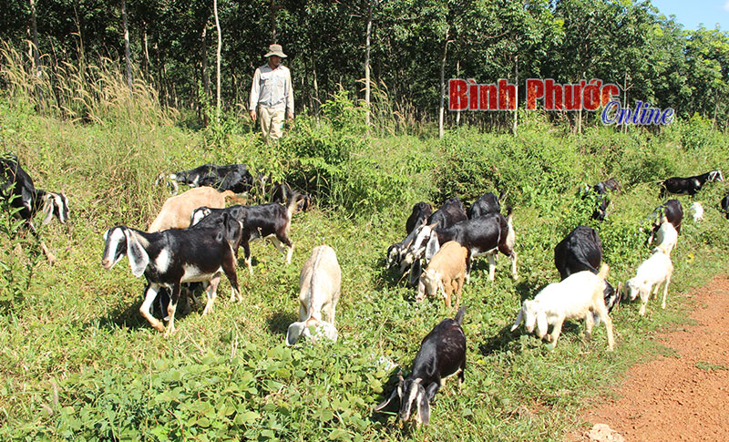 Nhà nông không có đất vẫn làm giàu Nhà nông không có đất vẫn làm giàu