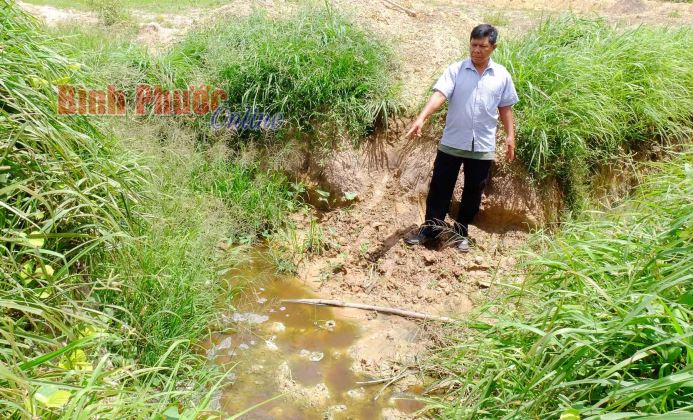 Hệ lụy từ những trại nuôi heo