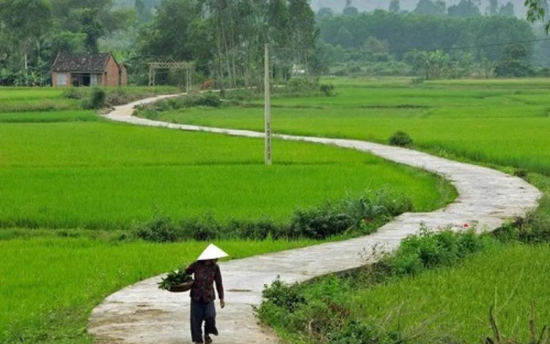 Ở đâu có mẹ, ở đó có quê hương