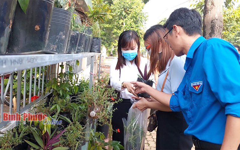 Ở đây chúng tôi tặng cây xanh miễn phí