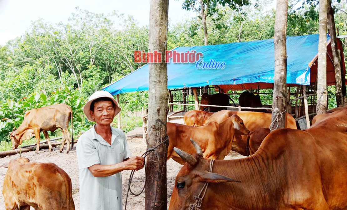 ondinh06092019022913.jpg