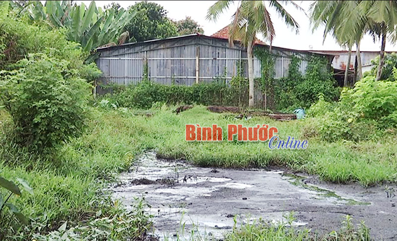 onhiemmoitruong.jpg