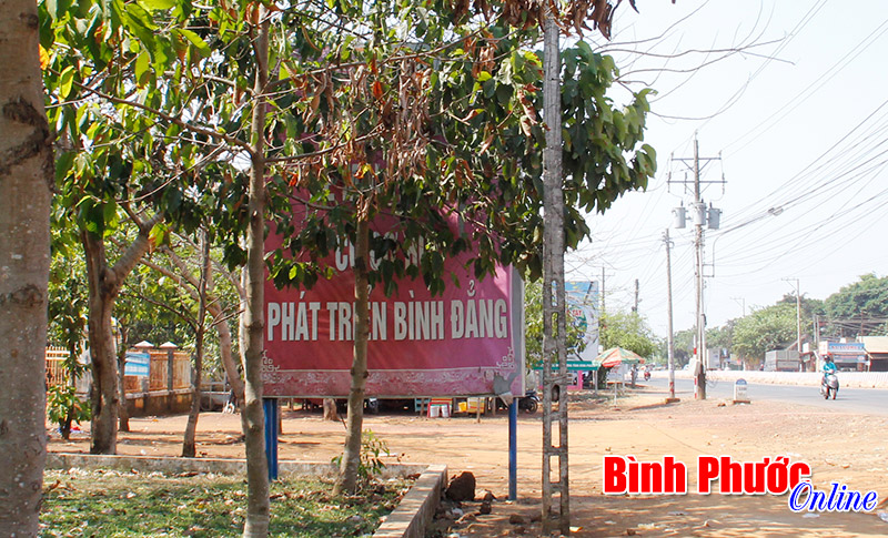 Pa-nô phản cảm Pa-nô phản cảm