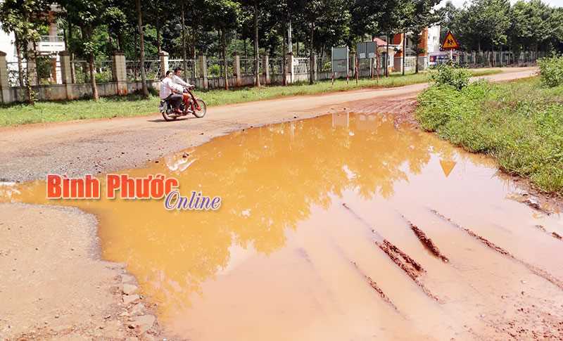 “Ao nước” ở ngã tư “Ao nước” ở ngã tư