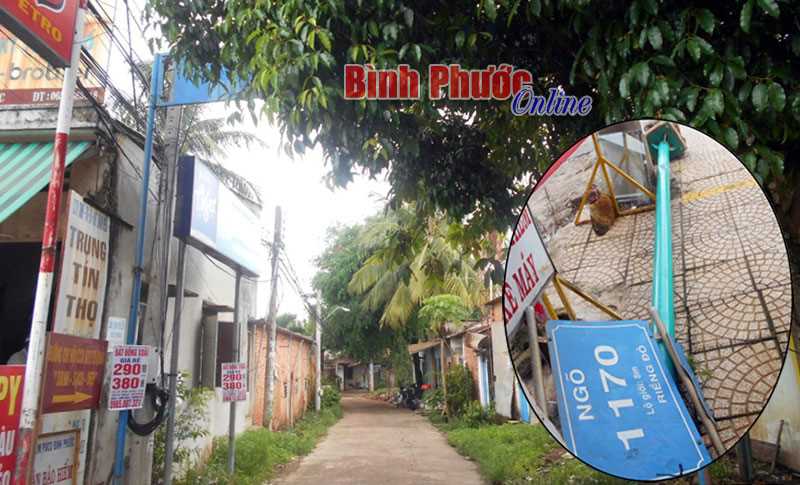 Cây che “bóng mát” cổng chào Cây che “bóng mát” cổng chào
