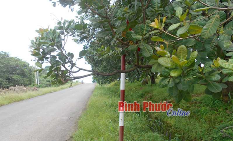 Biển báo có... như không! Biển báo có... như không!