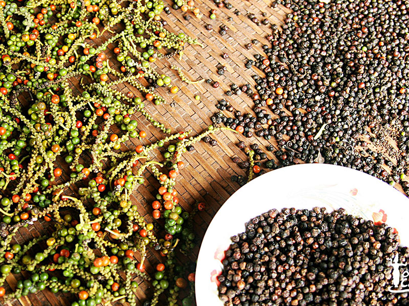 Hoa Kỳ - thị trường XK hồ tiêu lớn nhất của Việt Nam