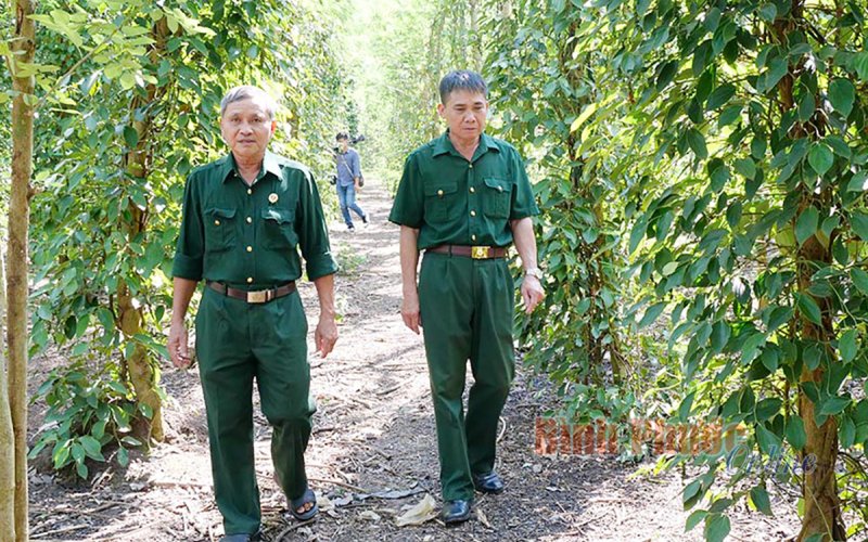 Phát huy bản lĩnh bộ đội Cụ Hồ