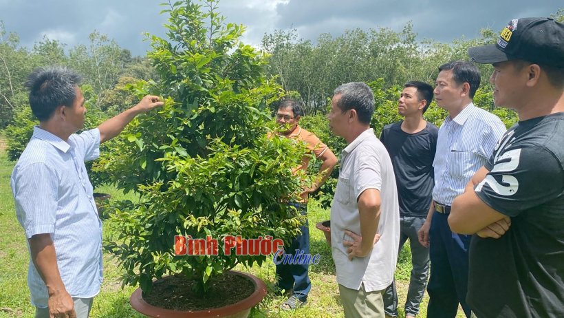 Phát huy vai trò kinh tế tập thể Phát huy vai trò kinh tế tập thể