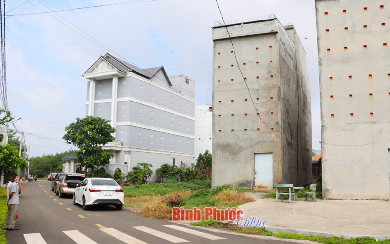 Phát triển bền vững nghề đón ‘lộc trời’