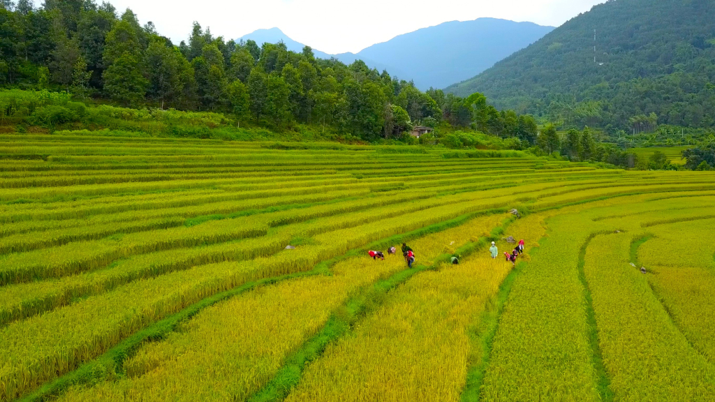 Phát triển du lịch tại vùng Đông Bắc