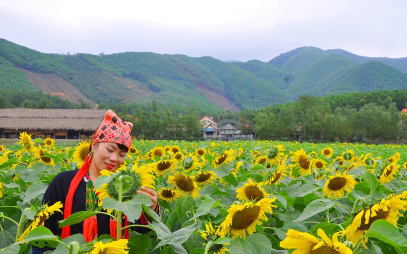 Phát triển du lịch từ trồng hoa Phát triển du lịch từ trồng hoa