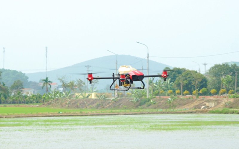 Phát triển nông nghiệp xanh Phát triển nông nghiệp xanh