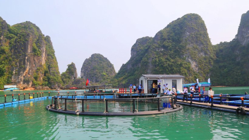 Phát triển thủy sản bền vững