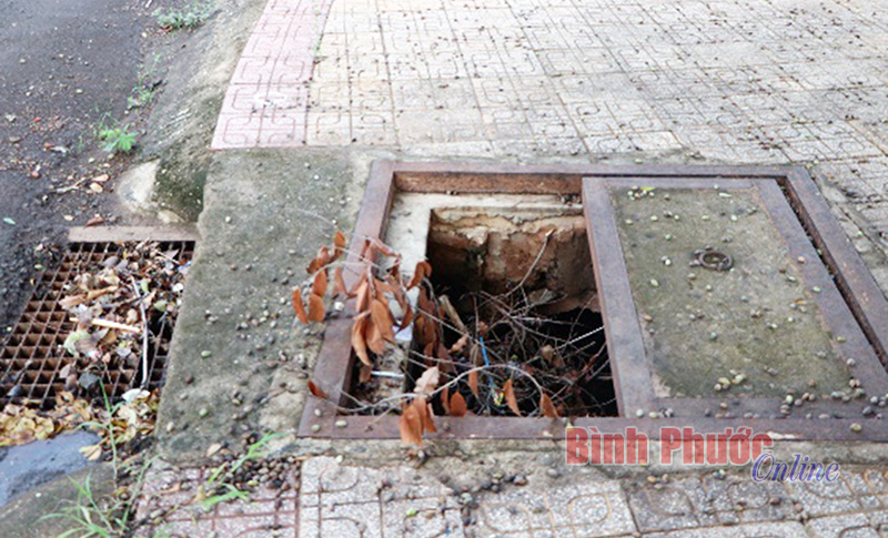 phebinh106062019095110.jpg