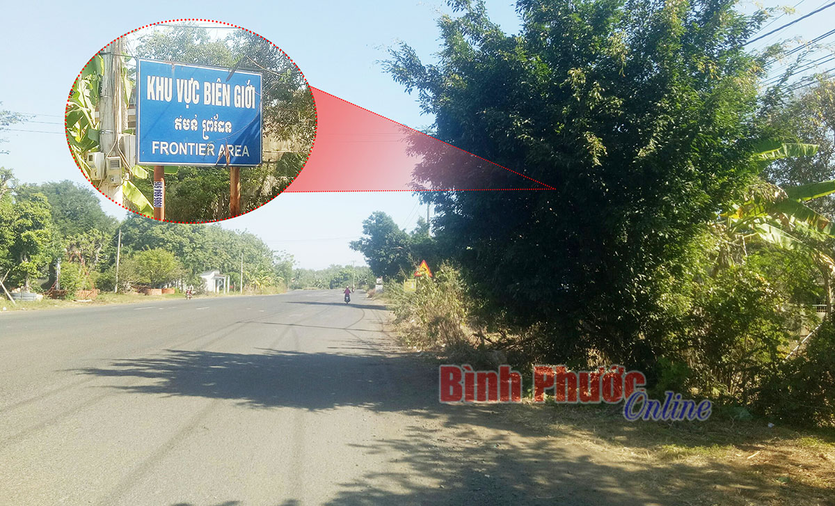 phebinh11122019093024.jpg