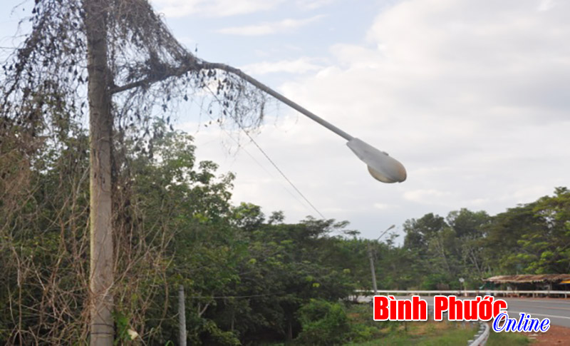 Ảnh phê bình: Đèn ngày một gần với đường