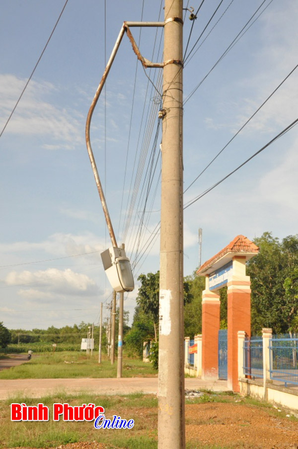 phebinh2.jpg