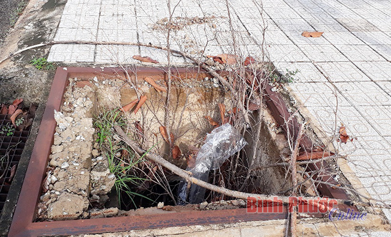 phebinh206062019095115.jpg