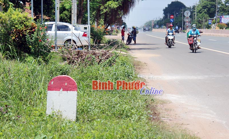 phebinh23062017023518.jpg