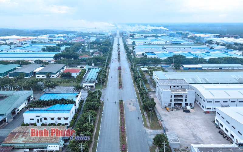 Phía sau cơn sốt đất lịch sử Phía sau cơn sốt đất lịch sử