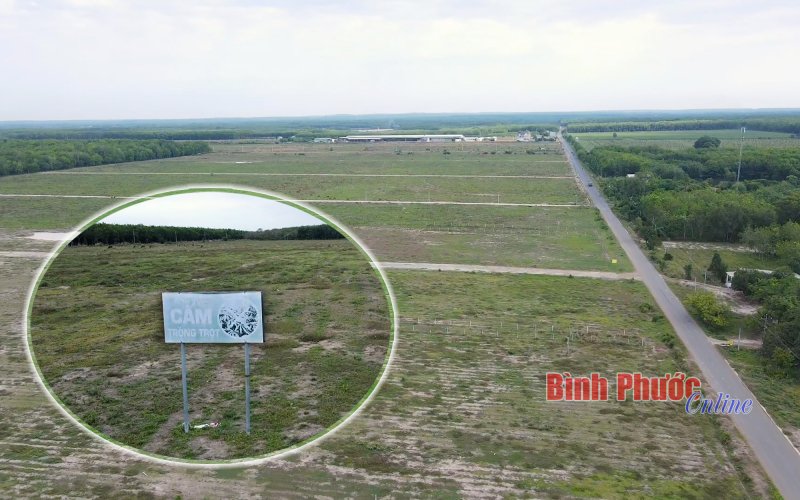 Phía sau cơn sốt đất lịch sử Phía sau cơn sốt đất lịch sử