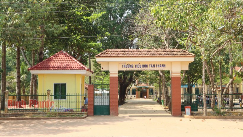 Phòng, chống bạo lực học đường