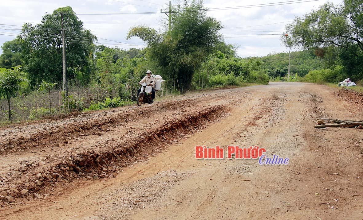 phongsuanh108012018021144.jpg